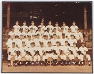 1968 Detroit Tigers World Series Champions 11" x 14" Framed Team Photo 