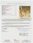 2022 Stephen Curry Golden State Warriors Signed 16 x 20 I Can Do All Things Photo Collage (*JSA Full Letter*)