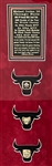 2000's Michael Jordan Chicago Bulls 34 x 42 Framed Display w/ Signed Jersey & Replica Championship Rings (Upper Deck/JSA)