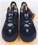 2014 Paul George Indiana Packers Nike Zoom Crusader Eastern Conferece Semi-Finals Sneakers (MEARS LOA)