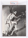 1971 Johnny Weissmuller Tarzan Signed 8.5" x 11" The Gridley Wave Photo (PSA Slabbed Authentic) 