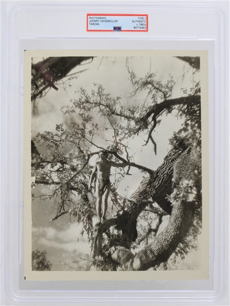 1960s Johnny Weissmuller Tarzan 8" x 10" Photo (PSA Slabbed Type 2)