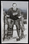 1965 Roger Crozier Detroit Red Wings 5.25" x 8" Photo