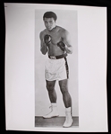 1960s-70s Cassius Clay/Muhammad Ali 8"x10" B&W Photo