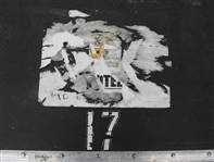 Green Bay Packers Lambeau Field 36x20x27 Athletic Training Trunk #17 (Pepper Burruss Collection) 
